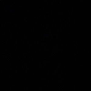 Meet your Posher, Noah